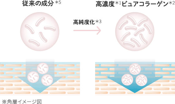 角質イメージ図