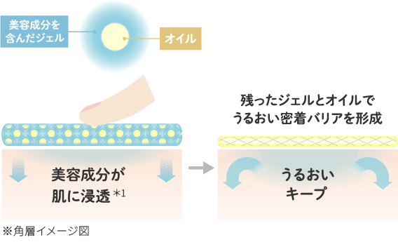 ※角層イメージ図